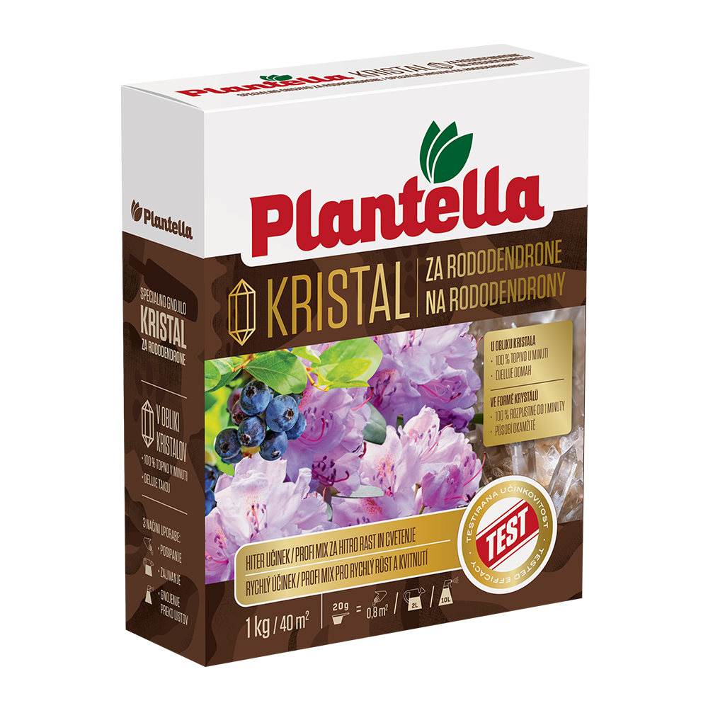 Plantella Specialno Kristal Rodedendroni