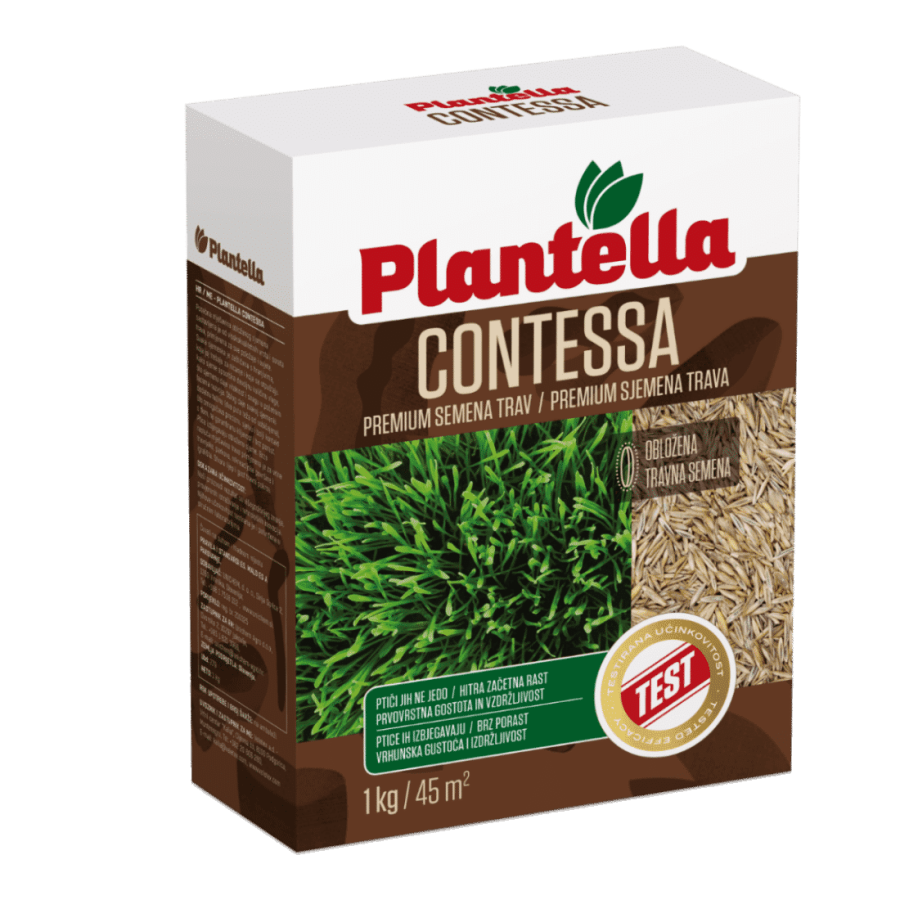 Plantella Contessa