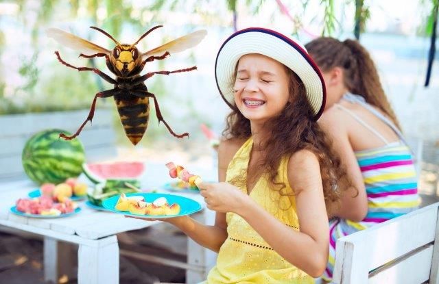 Ose in sršeni – v vrtu koristne, pa vendar tudi nevarne žuželke