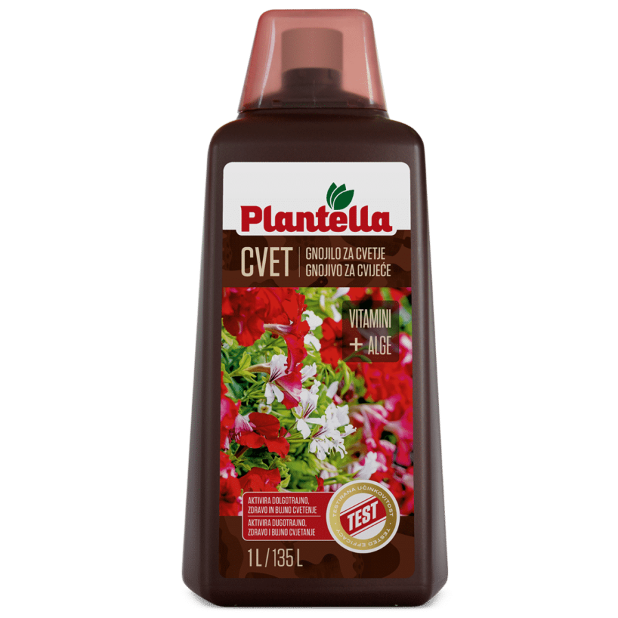 Plantella Cvet