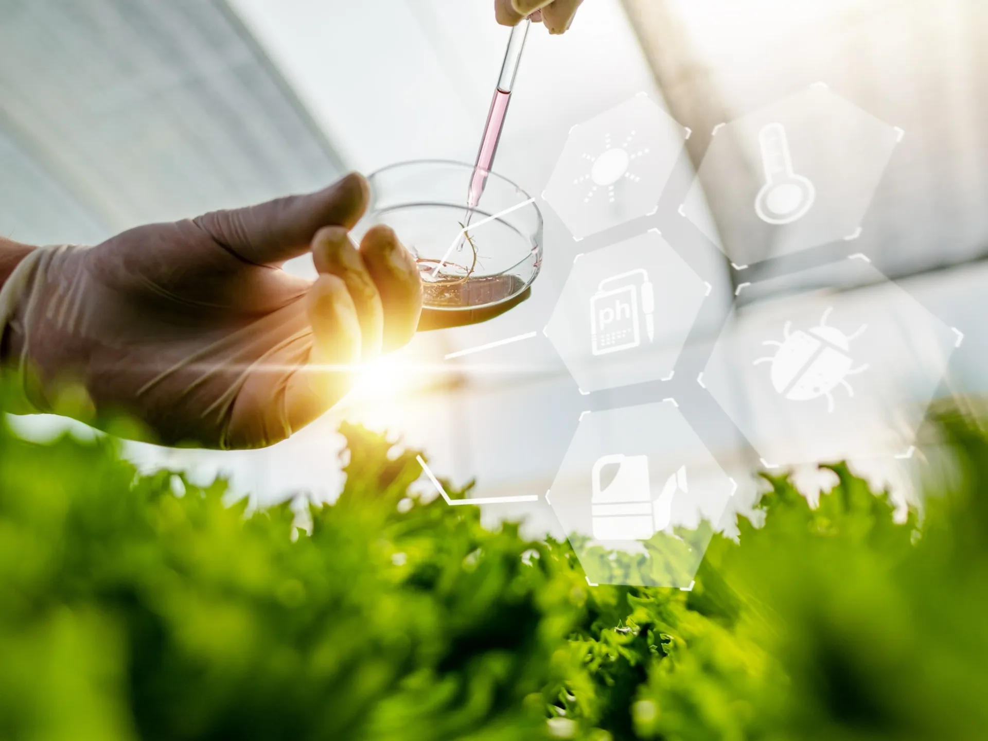 Sodelovanje zaposlenih pri oblikovanju inovativnih rešitev.