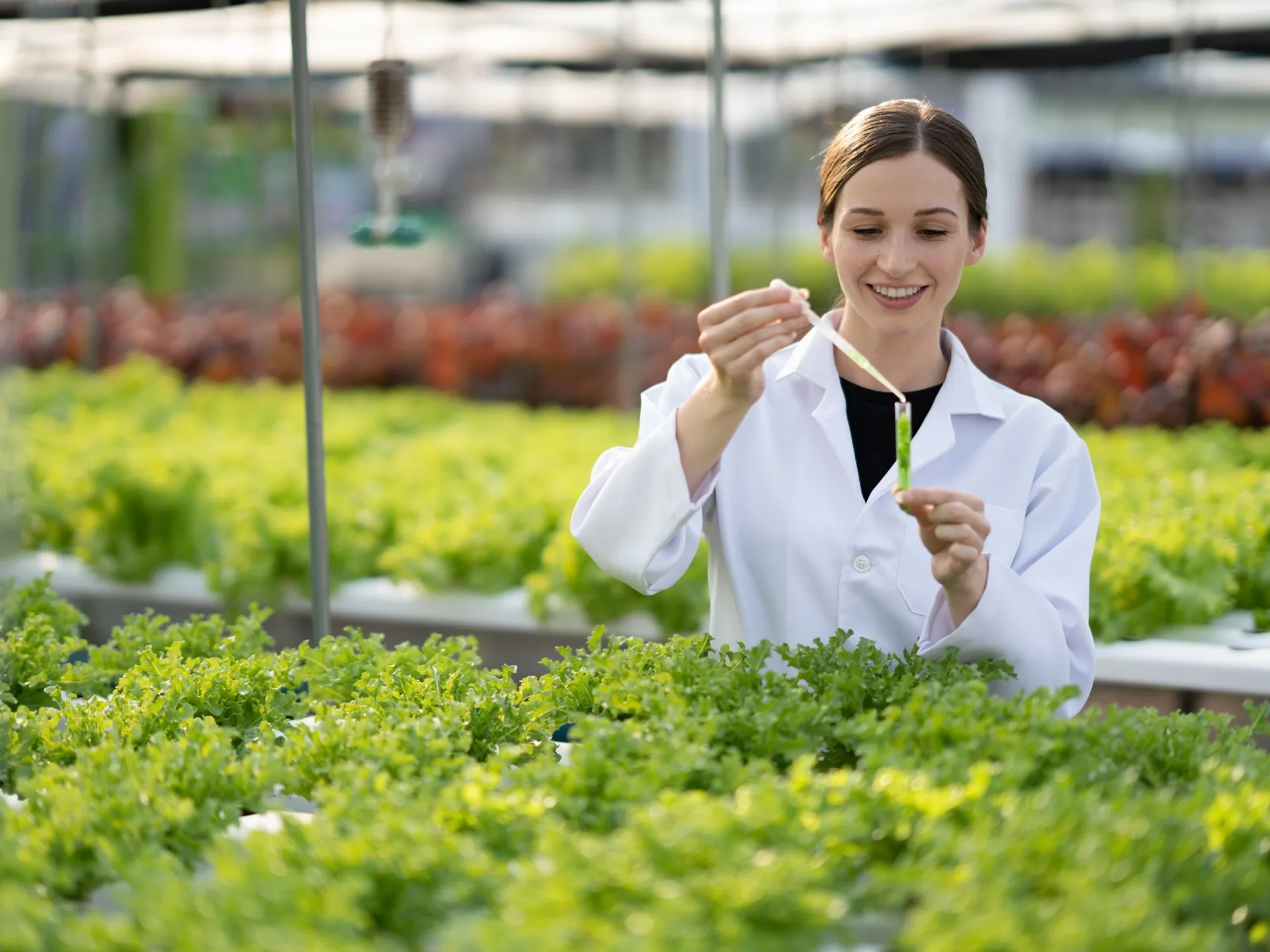 Sodelovanje strokovnjakov in partnerjev pri razvoju izdelkov Unichem.