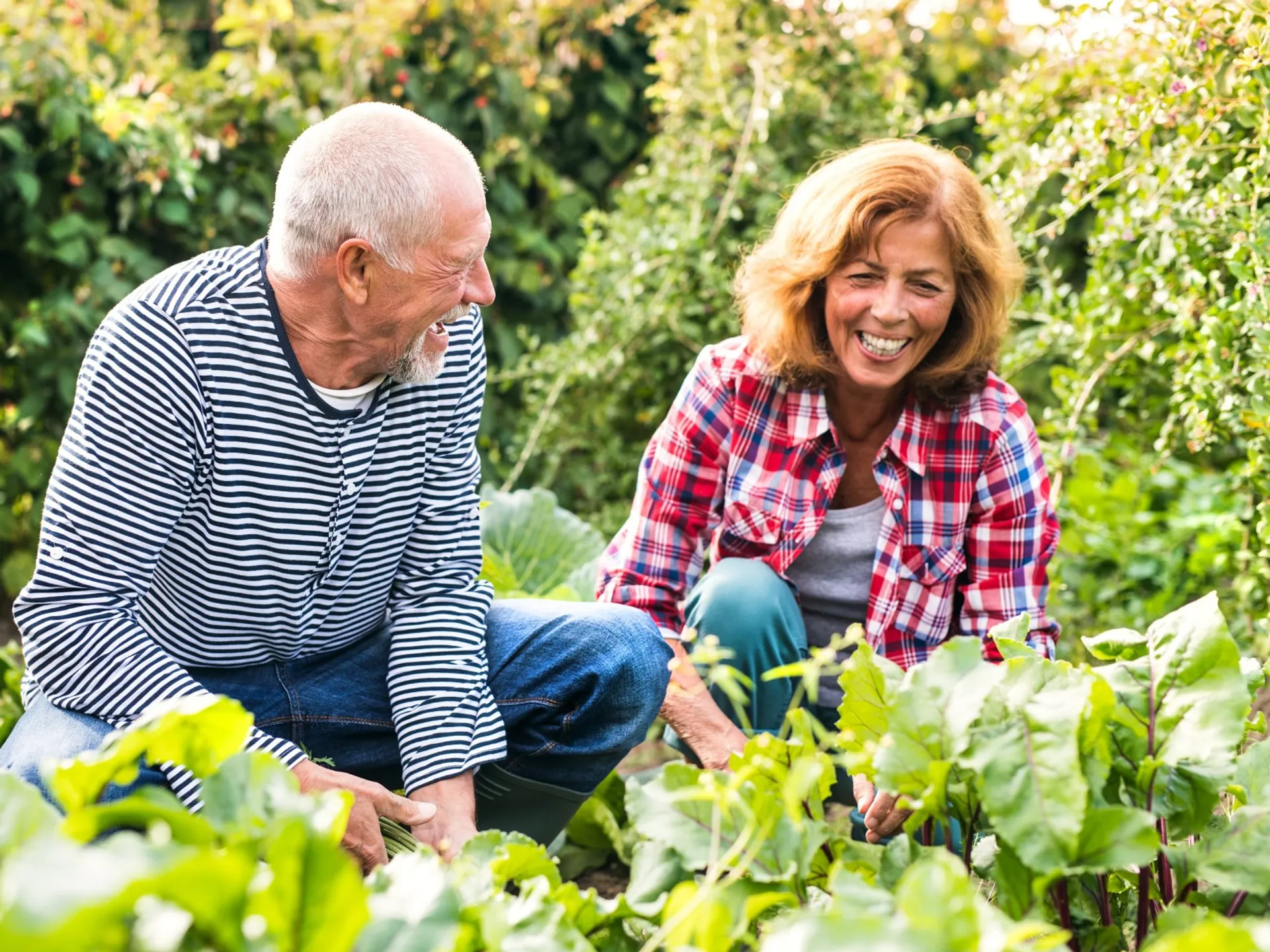 Skupnost naravi prijaznega vrtnarjenja – trajnost pri Unichemu