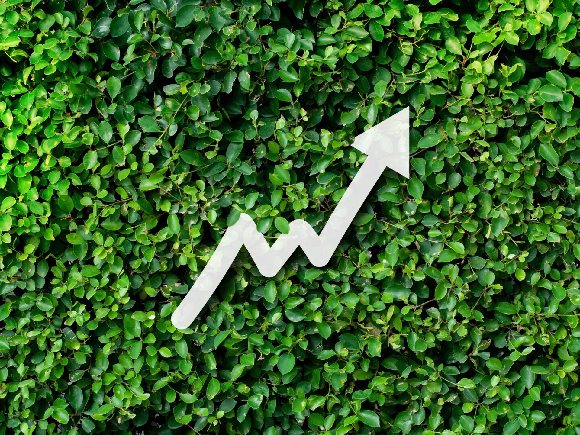 Unichemov uspeh niso le številke.